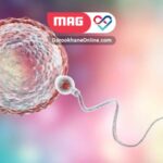 همه چیز درباره آی وی اف (IVF): آخرین پیشرفت ها چیست و چه موانعی وجود دارد