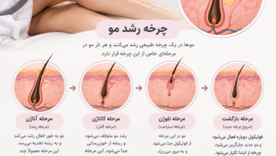 چرخه رشد مو چیست و چرا در زمان‌بندی لیزر اهمیت دارد؟